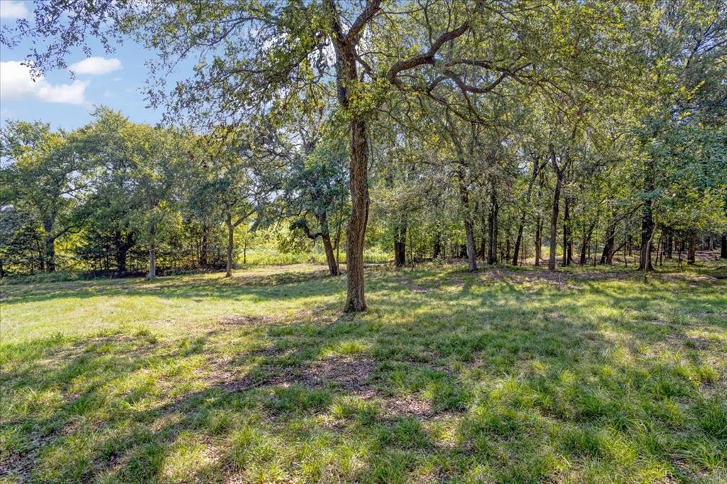 5274 Preston Road, Unit LOT 2) Denison, TX 75020 - Photo 6 of 12 Lot 2 - Ground View - Rear of Property