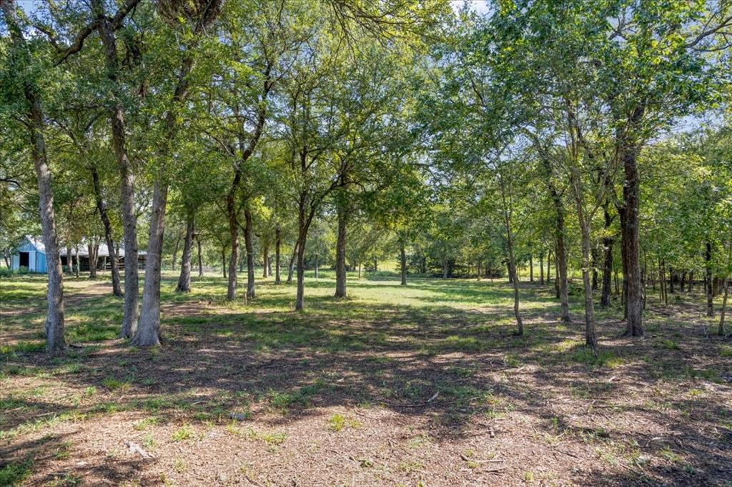 5274 Preston Road, Unit LOT 2) Denison, TX 75020 - Photo 8 of 12 Lot 2 - Ground View - Rear of Property