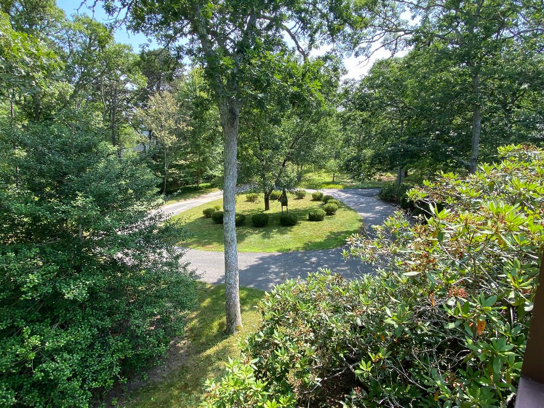 59 Jernegan Pond Road Edgartown, MA 02539 - Photo 5 of 29 Gallery Image 5