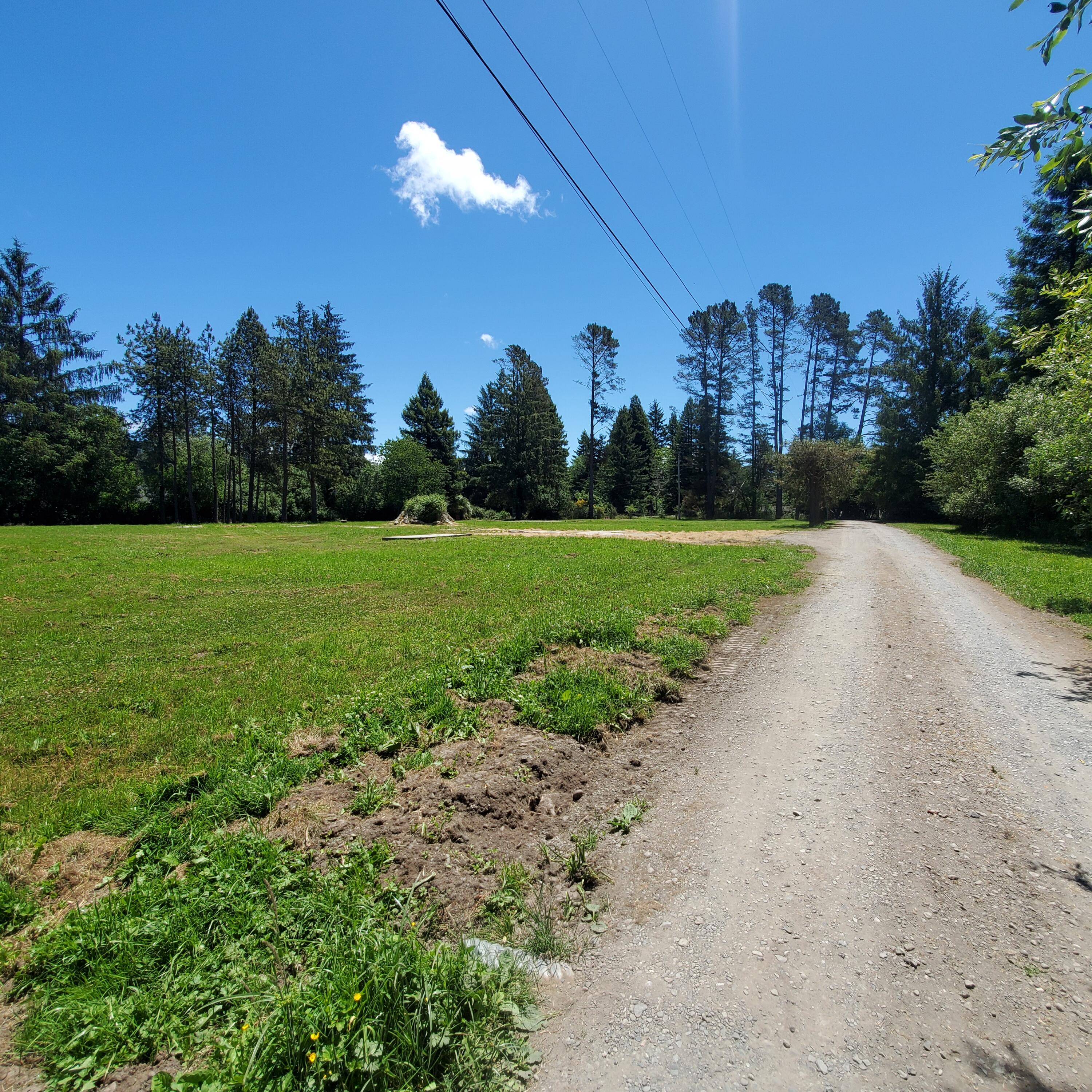 209 Kingston Road Fieldbrook, CA 95519 - Photo 4 of 18 Private Driveway looking south