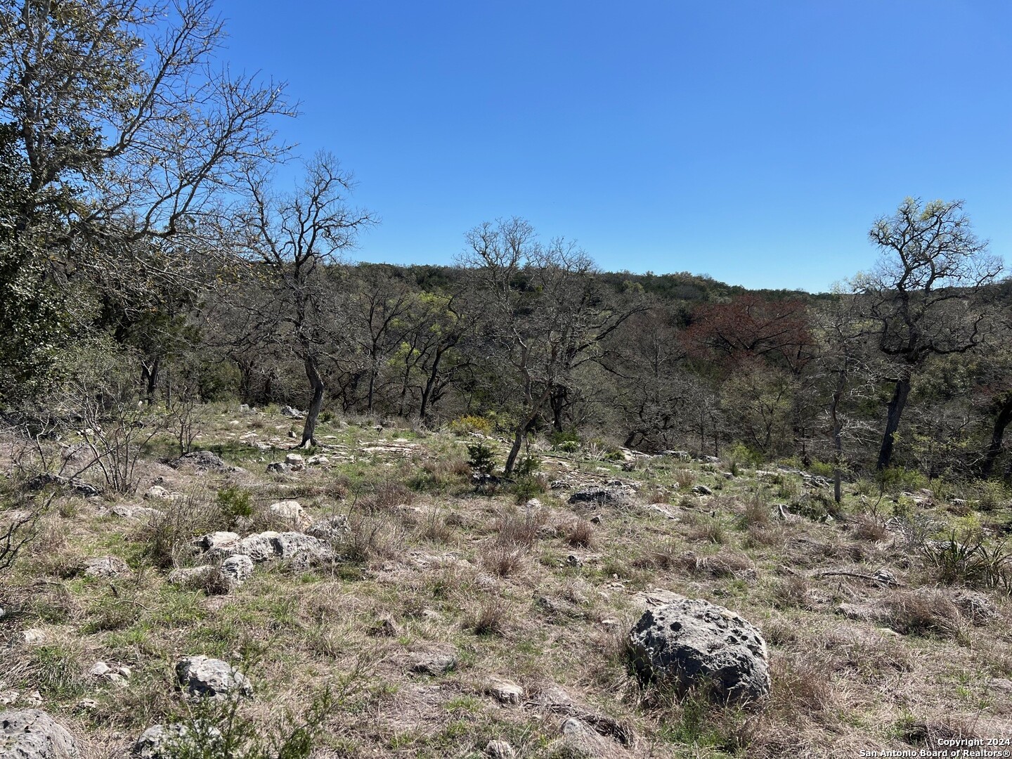 Lot 7 Panther Bend Boerne, TX 78006 - Photo 14 of 20 a view of a dry yard with trees in the background