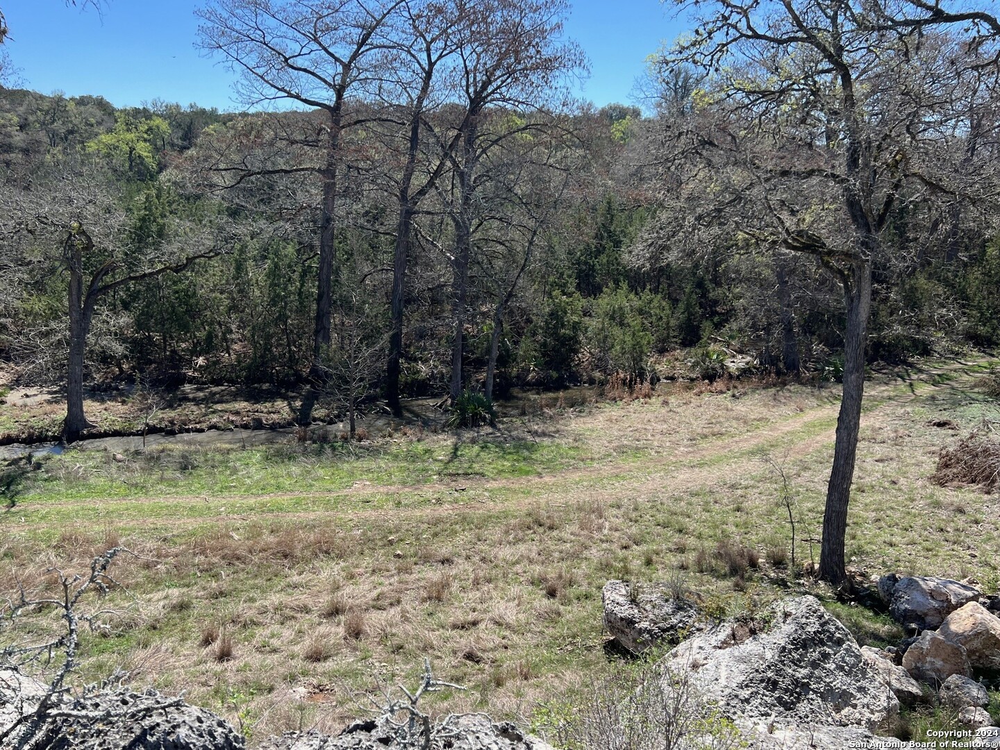 Lot 7 Panther Bend Boerne, TX 78006 - Photo 15 of 20 a view of a yard with a tree