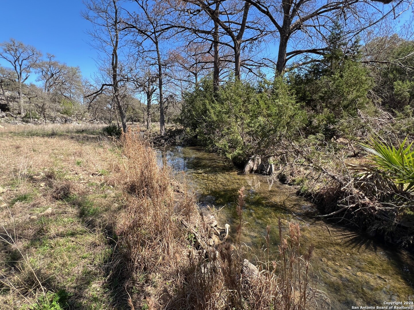 Lot 7 Panther Bend Boerne, TX 78006 - Photo 16 of 20 a view of a yard covered with trees