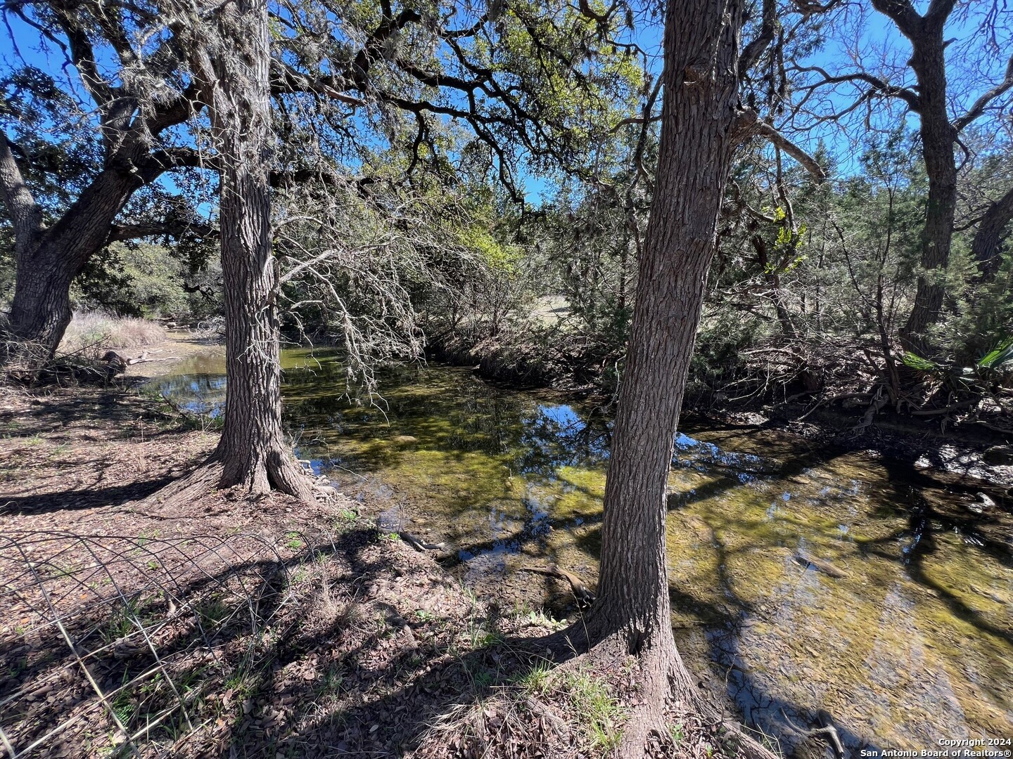 Lot 7 Panther Bend Boerne, TX 78006 - Photo 18 of 20 a view of a tree with a yard