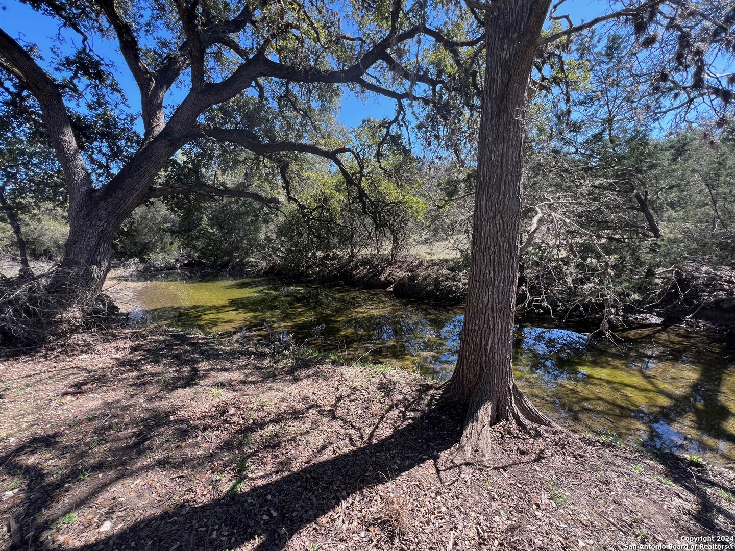 Lot 7 Panther Bend Boerne, TX 78006 - Photo 19 of 20 a view of a yard with large trees