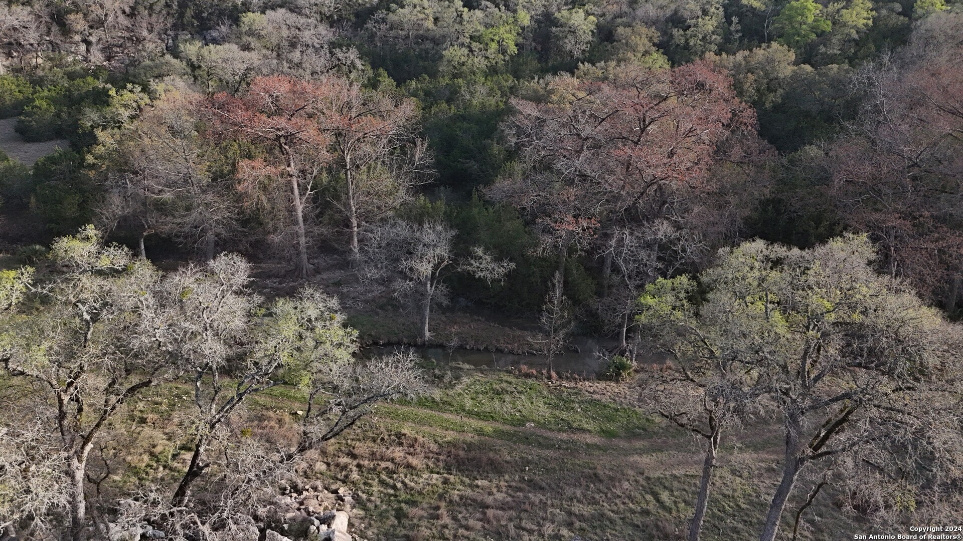 Lot 7 Panther Bend Boerne, TX 78006 - Photo 20 of 20 a view of a forest with trees in the background
