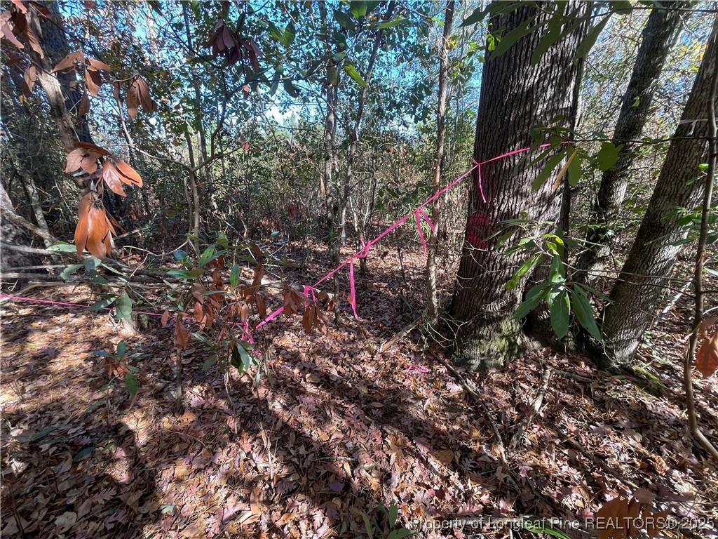 7399 Burney Road White Oak, NC 28399 - Photo 11 of 13 a backyard of a house with lots of green space