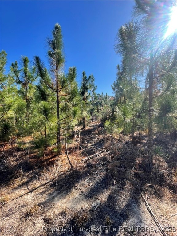 7399 Burney Road White Oak, NC 28399 - Photo 7 of 13 a view of a tree in a yard