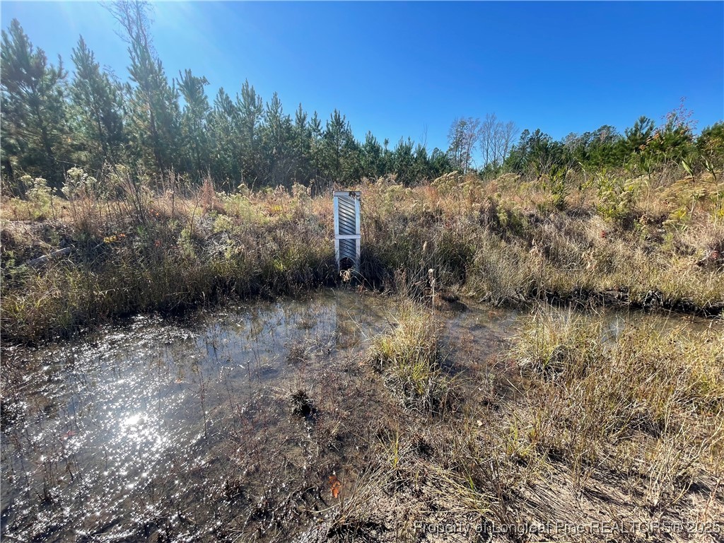 7399 Burney Road White Oak, NC 28399 - Photo 9 of 13 a view of a yard with a tree