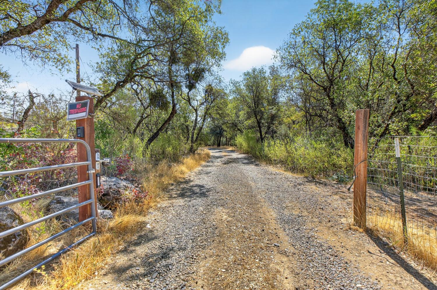 36 Crystal Pines Road Oroville, CA 95965 - Photo 12 of 26 a backyard of a house with lots of green space