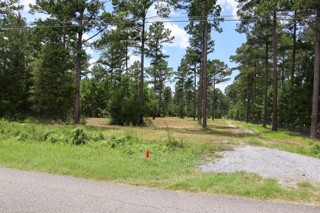 185 Ben Ivey Road Webb, AL 36376 - Photo 9 of 9