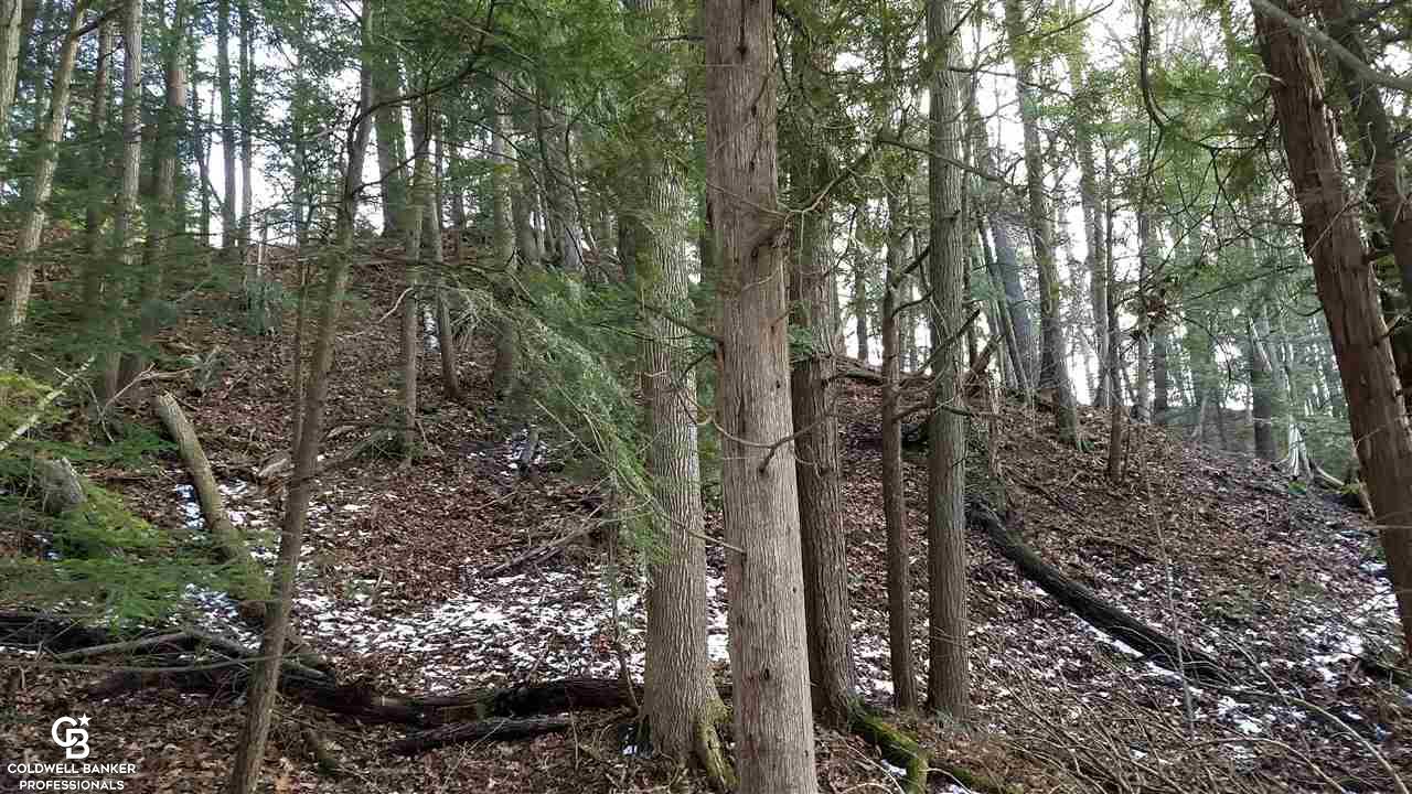 4691 Cribbins Road Avoca, MI 48006 - Photo 24 of 42