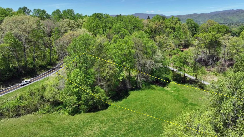 981 Myers Chapel Road Hayesville, NC 28904 - Photo 18 of 44 a view of a lush green forest with trees in the background
