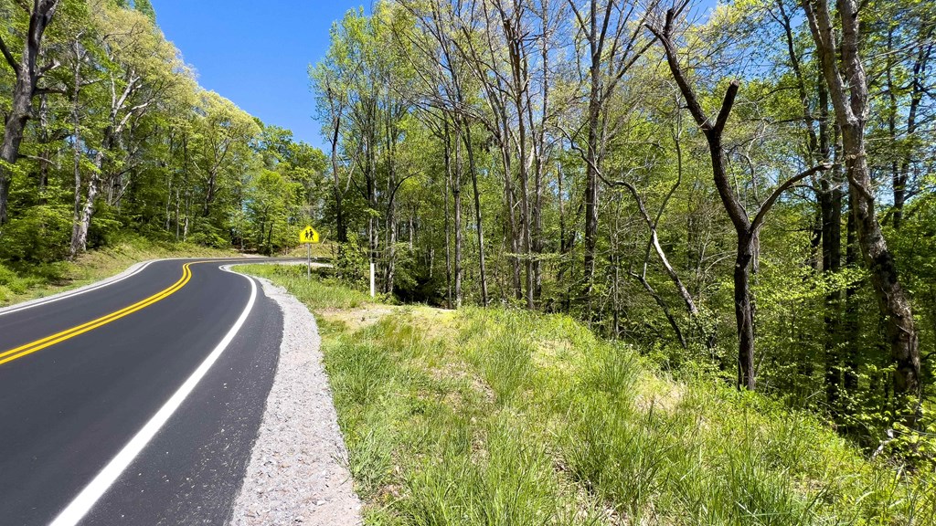 981 Myers Chapel Road Hayesville, NC 28904 - Photo 20 of 44 a view of a garden with large trees