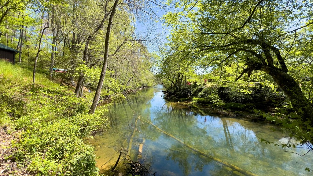 981 Myers Chapel Road Hayesville, NC 28904 - Photo 2 of 44 a view of lake