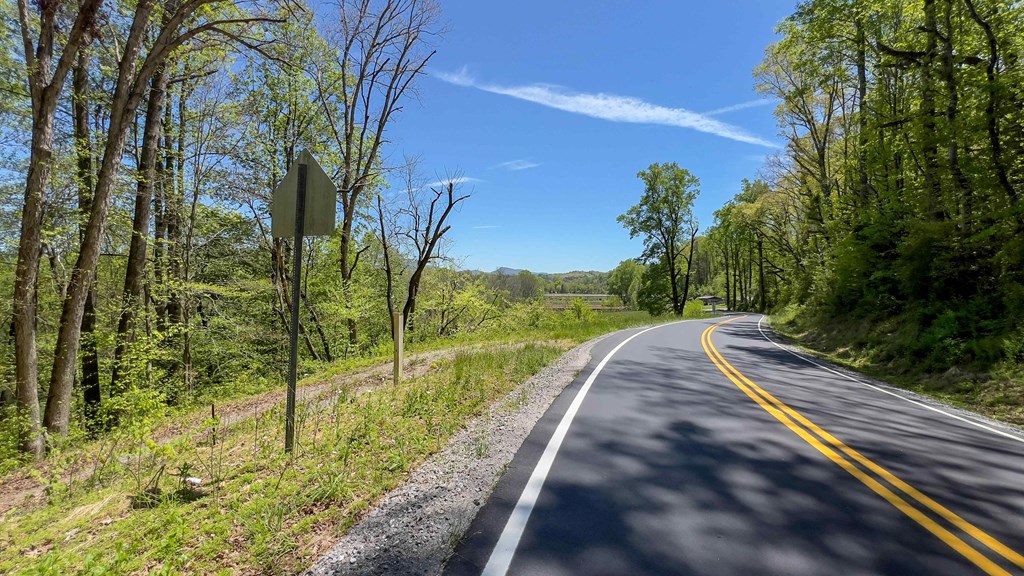 981 Myers Chapel Road Hayesville, NC 28904 - Photo 21 of 44 a view of a pathway of a yard