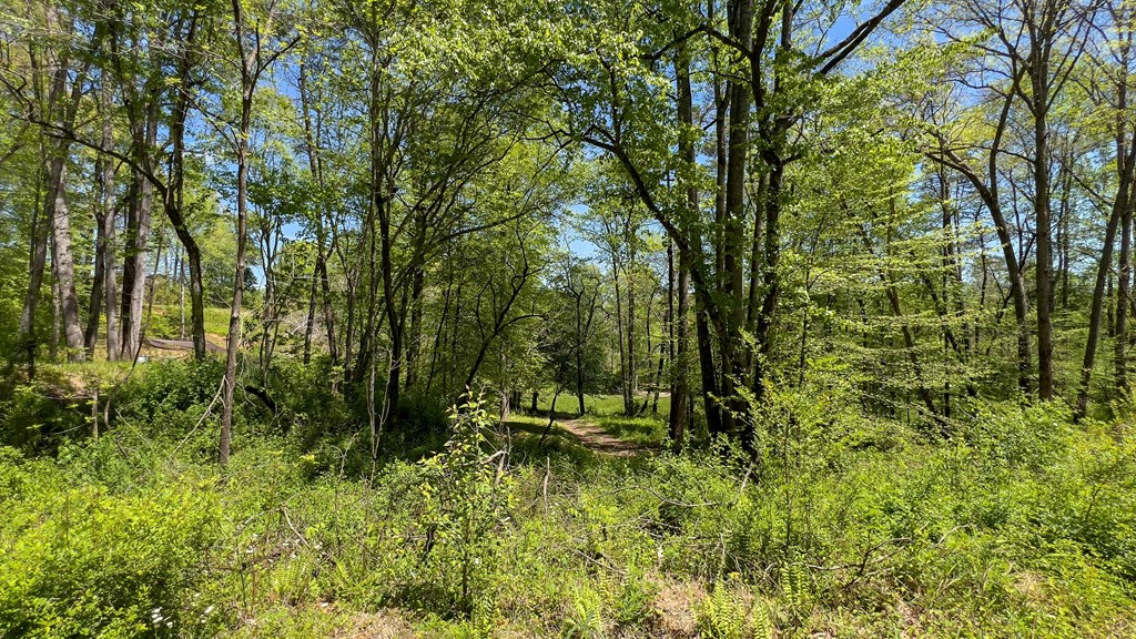 981 Myers Chapel Road Hayesville, NC 28904 - Photo 22 of 44 a view of outdoor space and yard