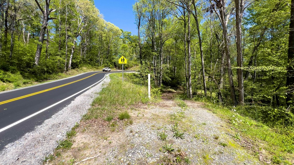 981 Myers Chapel Road Hayesville, NC 28904 - Photo 24 of 44 a view of a yard with plants