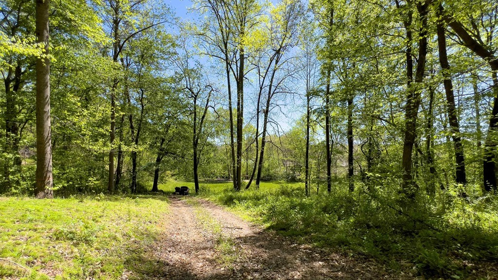 981 Myers Chapel Road Hayesville, NC 28904 - Photo 28 of 44 a view of outdoor space with trees
