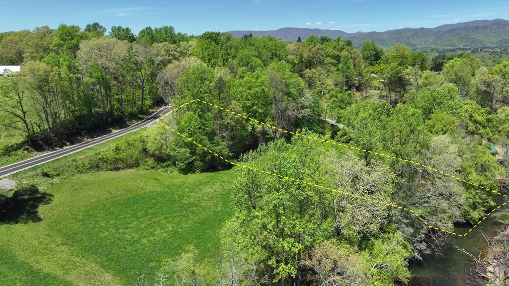 981 Myers Chapel Road Hayesville, NC 28904 - Photo 3 of 44 a view of a lush green forest with trees and some houses