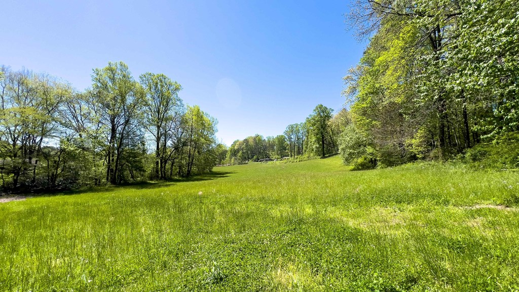 981 Myers Chapel Road Hayesville, NC 28904 - Photo 31 of 44 a view of a grassy field with trees in the background