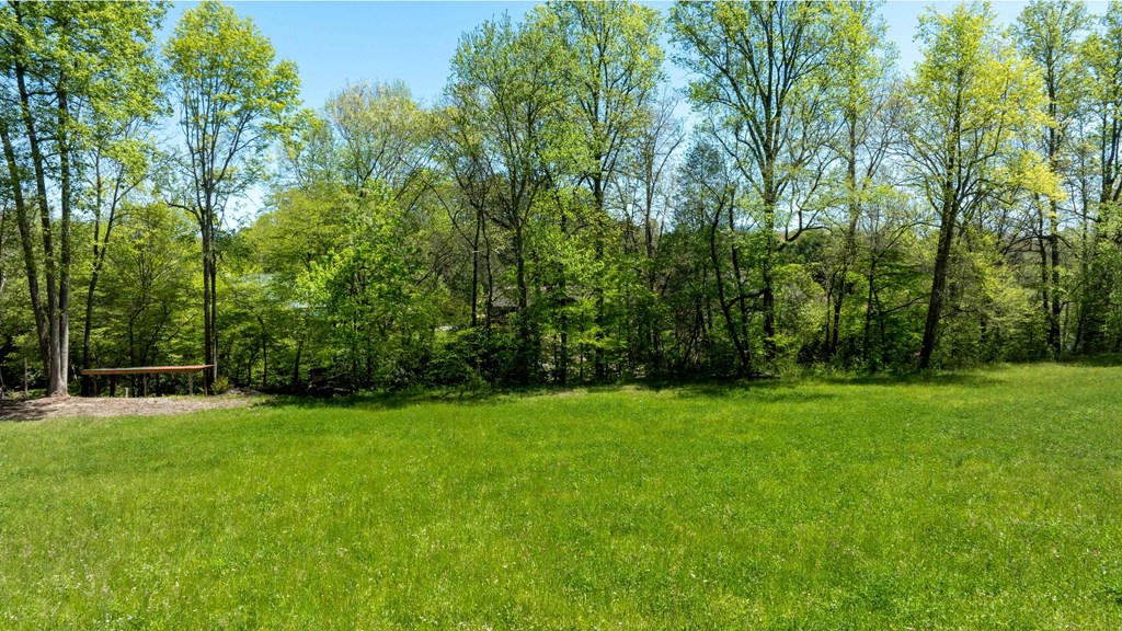 981 Myers Chapel Road Hayesville, NC 28904 - Photo 32 of 44 a view of a green yard