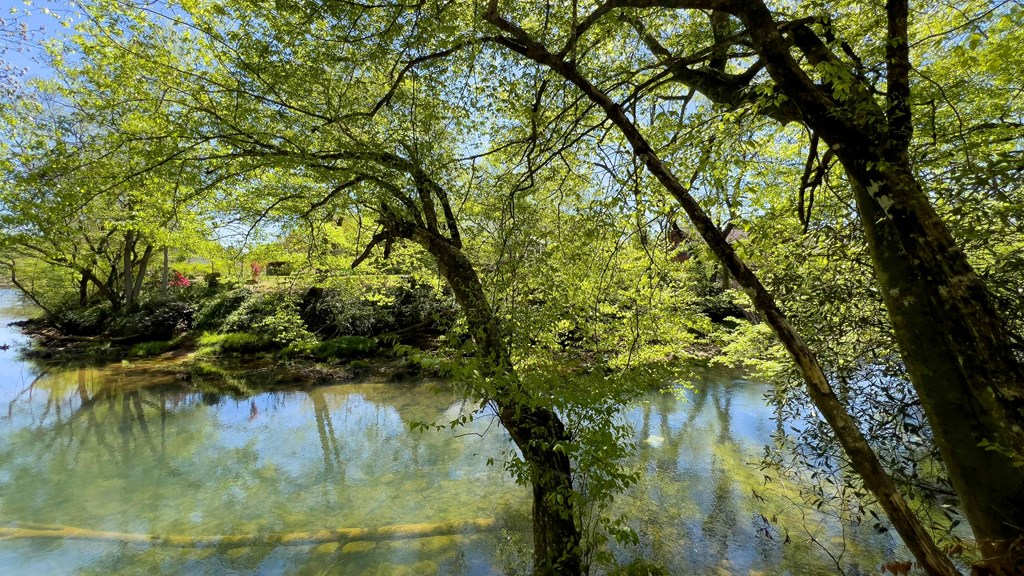 981 Myers Chapel Road Hayesville, NC 28904 - Photo 33 of 44 a view of a lake view