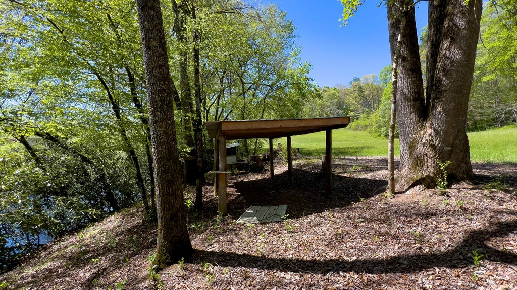 981 Myers Chapel Road Hayesville, NC 28904 - Photo 34 of 44 a view of a backyard with a large tree
