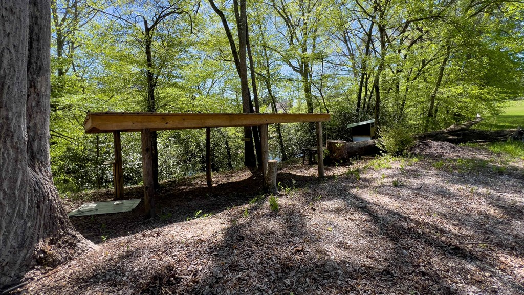 981 Myers Chapel Road Hayesville, NC 28904 - Photo 35 of 44 a view of a back yard with green space and seating area