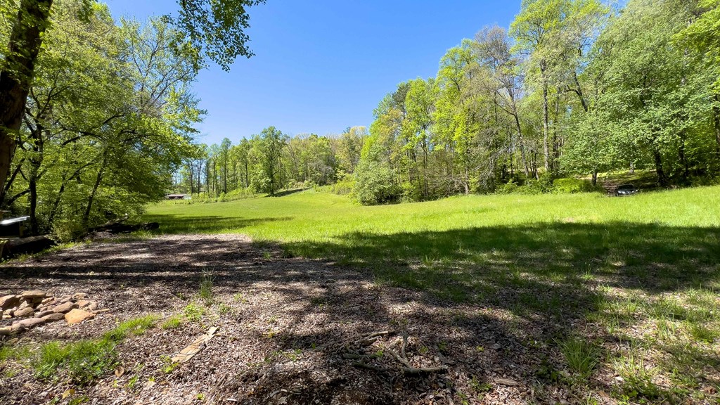 981 Myers Chapel Road Hayesville, NC 28904 - Photo 37 of 44 a view of a park