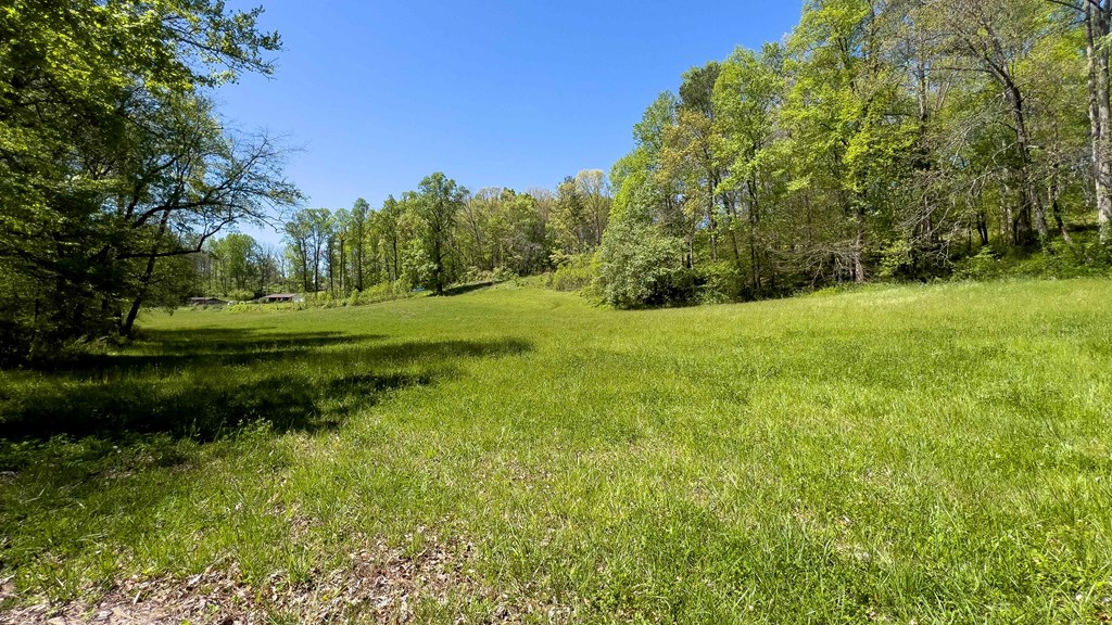 981 Myers Chapel Road Hayesville, NC 28904 - Photo 38 of 44 a view of a grassy field with trees
