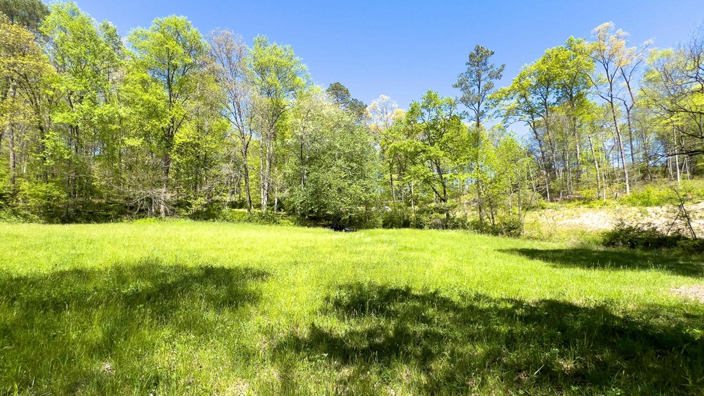 981 Myers Chapel Road Hayesville, NC 28904 - Photo 39 of 44 a view of an outdoor space and a yard