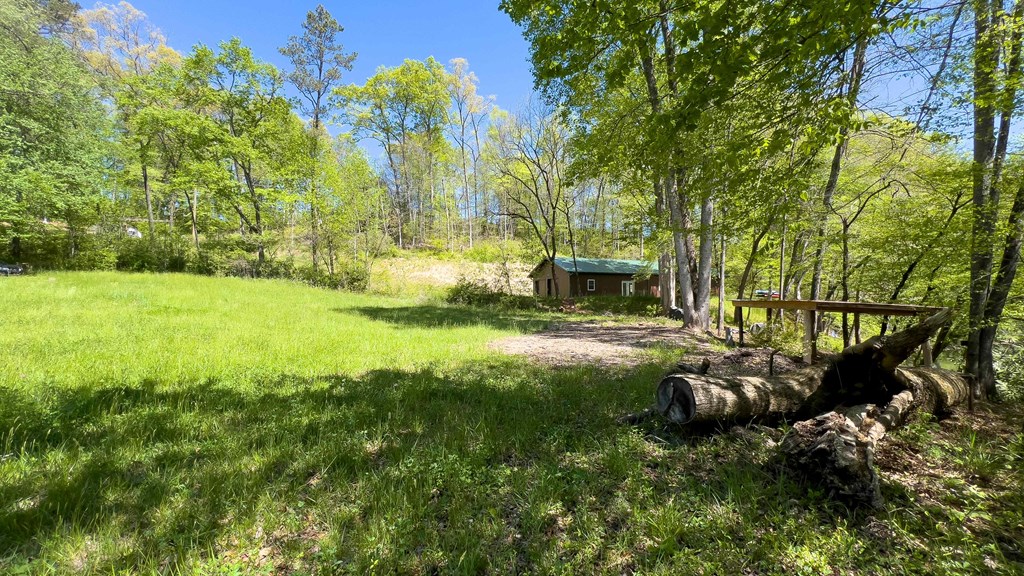 981 Myers Chapel Road Hayesville, NC 28904 - Photo 40 of 44 a view of yard with green space