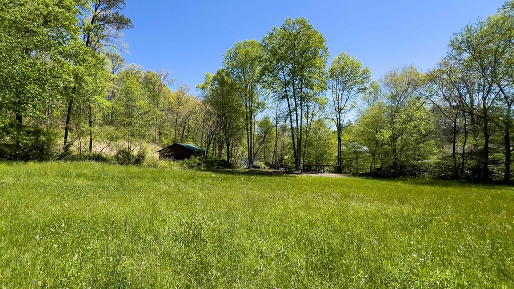 981 Myers Chapel Road Hayesville, NC 28904 - Photo 41 of 44 a view of a field of grass and trees