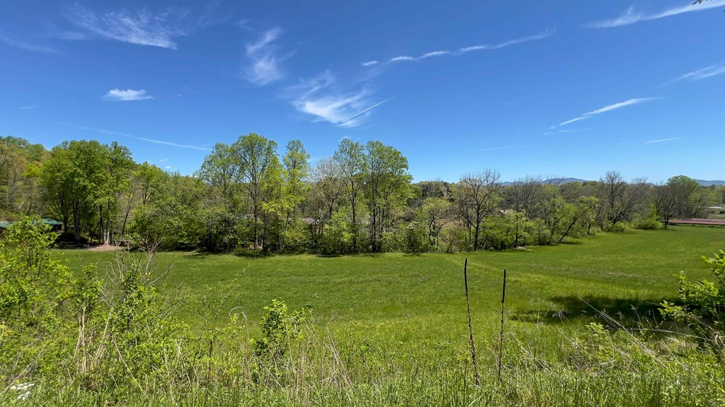981 Myers Chapel Road Hayesville, NC 28904 - Photo 43 of 44 a view of a grassy field with trees in the background