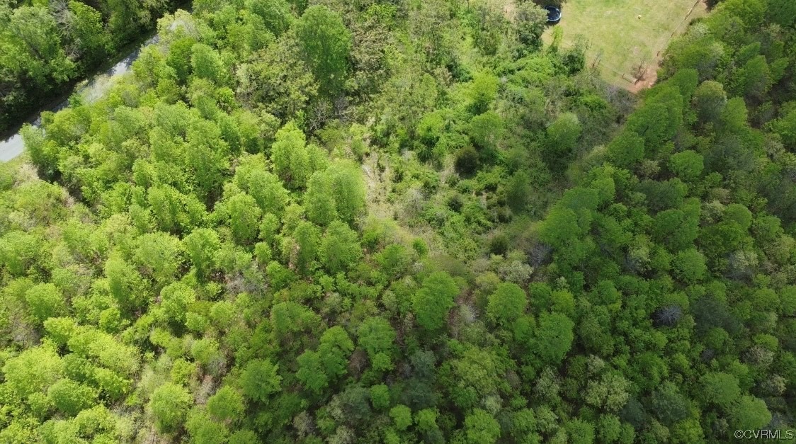 Tbd Buckingham Springs Road Dillwyn, VA 23936 - Photo 4 of 9 a view of a lush green forest with a houses