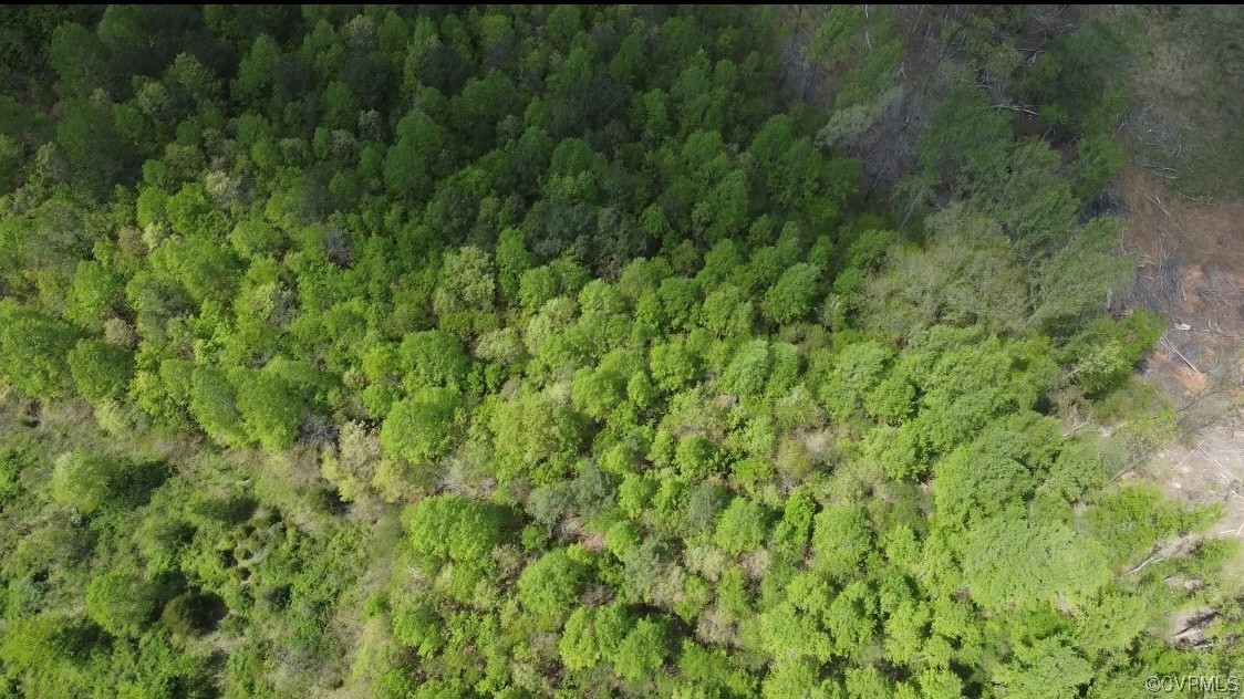 Tbd Buckingham Springs Road Dillwyn, VA 23936 - Photo 5 of 9 a view of a lush green forest with a lush green forest and trees in the background