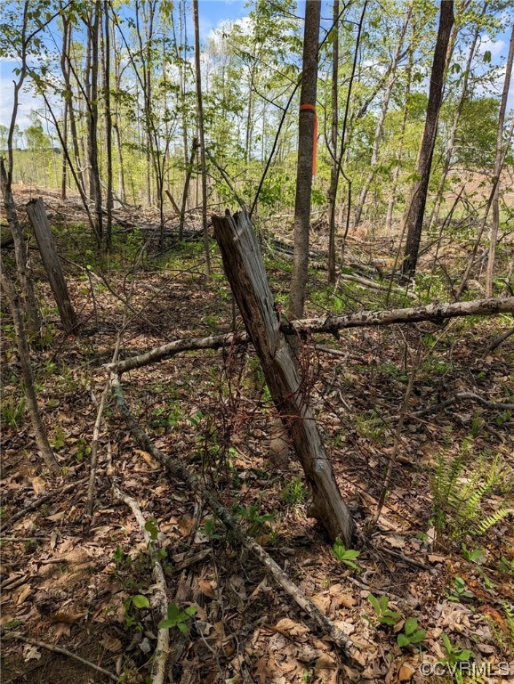 Tbd Buckingham Springs Road Dillwyn, VA 23936 - Photo 6 of 9 a view of a yard with plants and trees