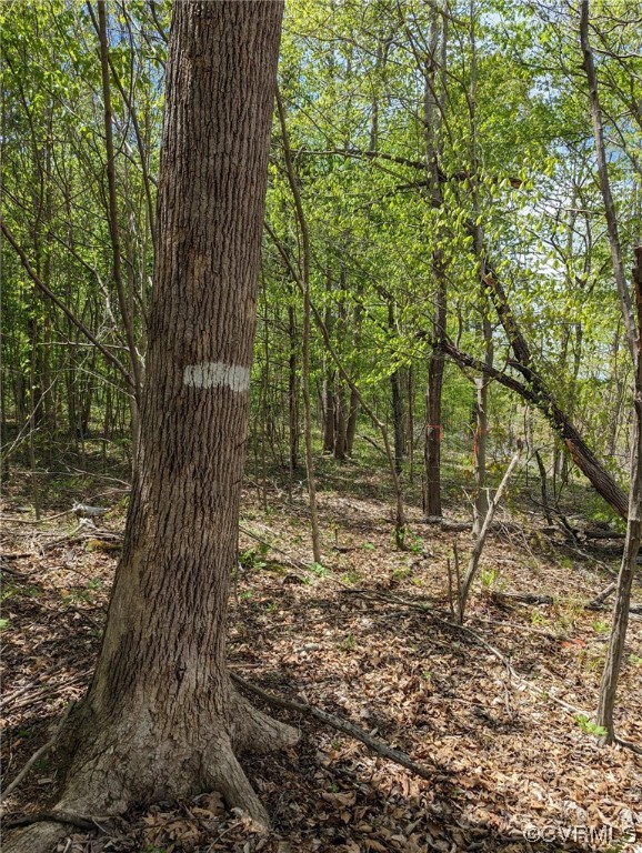 Tbd Buckingham Springs Road Dillwyn, VA 23936 - Photo 8 of 9 a backyard of a house with lots of green space