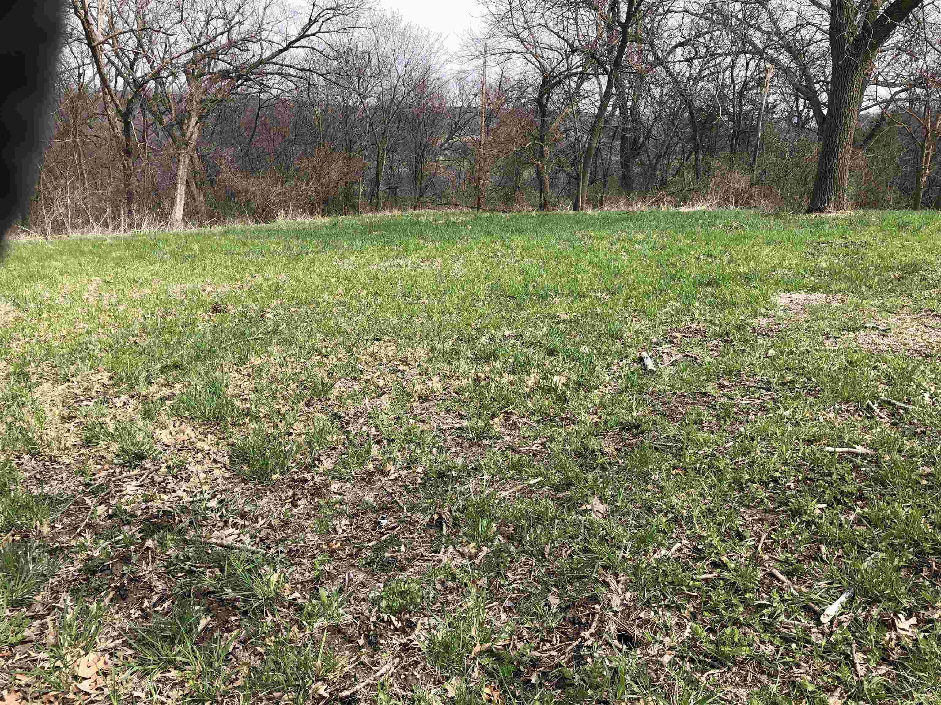 Tbd North Morley Road Elizabeth, IL 61028 - Photo 5 of 6 Gallery Image 5