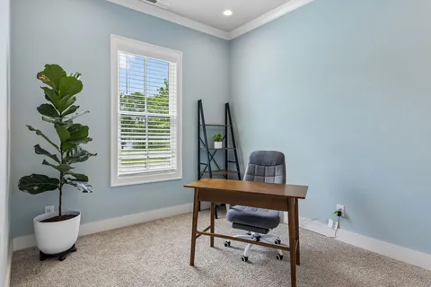 a living room with furniture and a potted plant