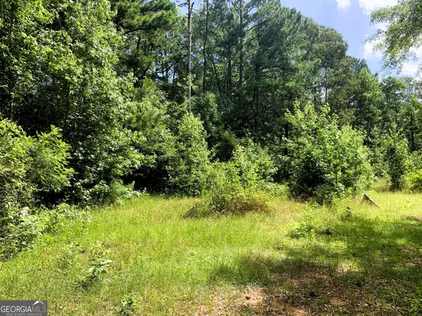 $485,000 | 4170 Hollonville Road, Williamson, GA 30292