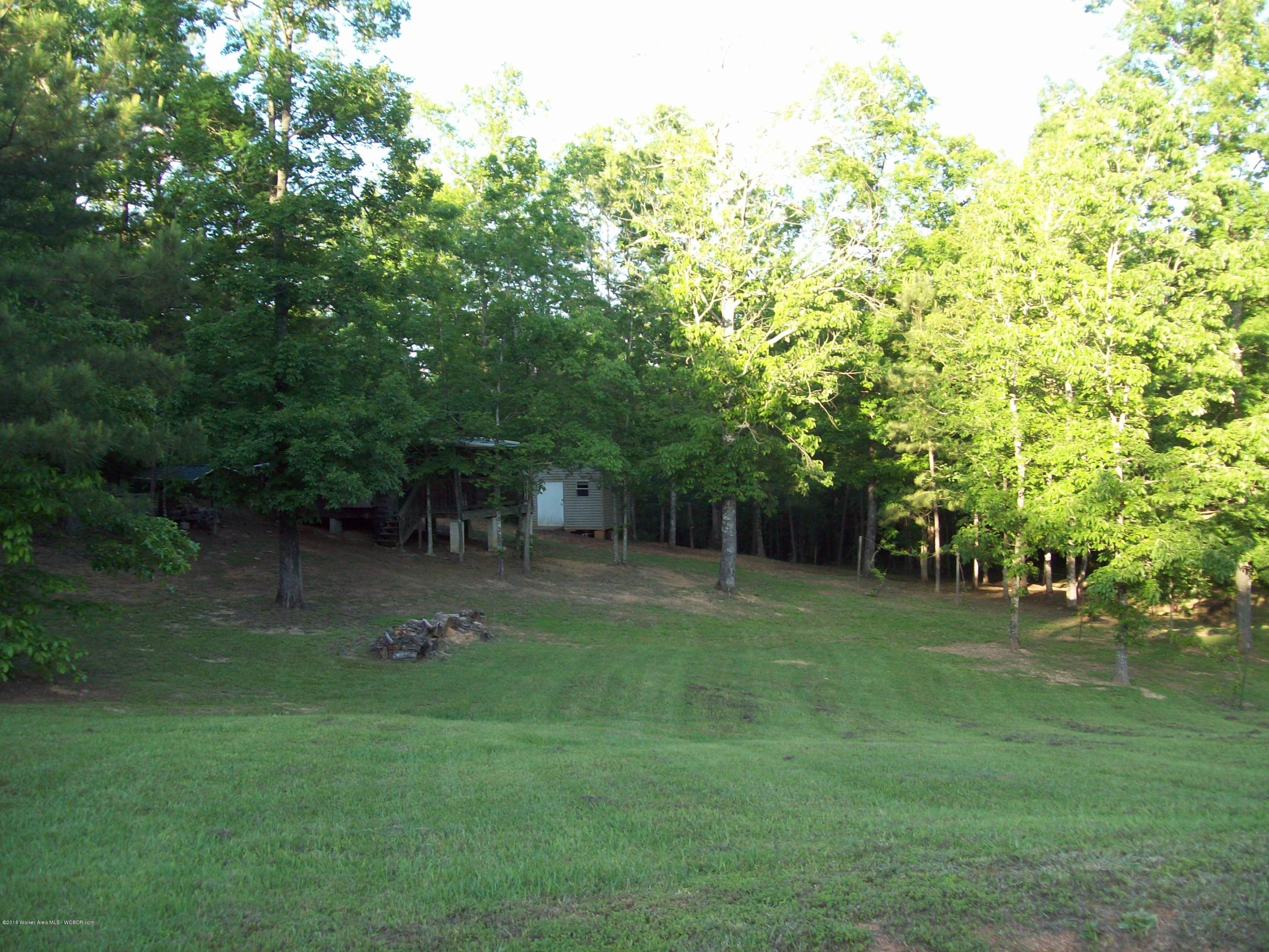 1844 Bethel Road Oakman, AL 35579 - Photo 6 of 17 Gallery Image 6