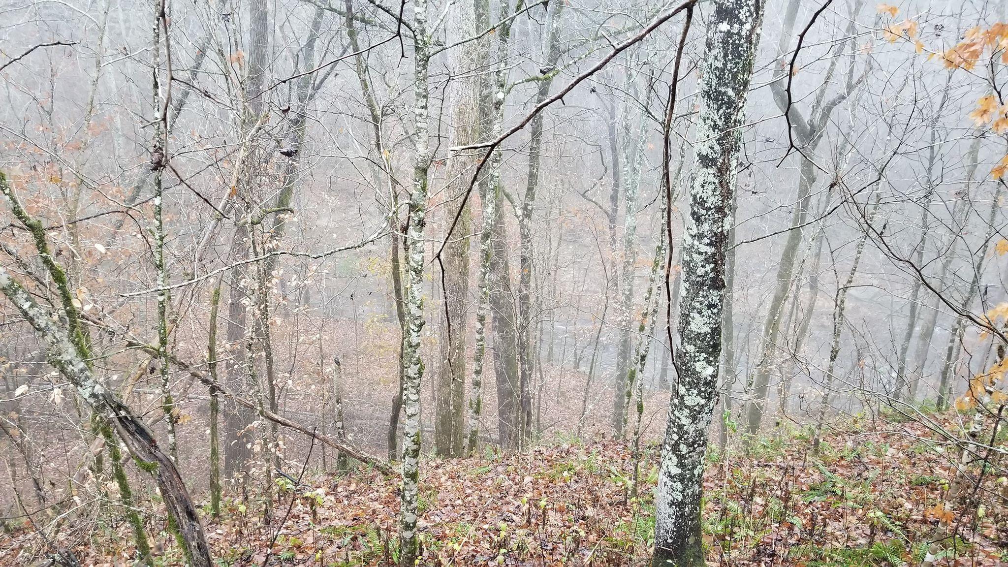 Jones Mill Road Smithville, TN 37166 - Photo 6 of 6 land creek