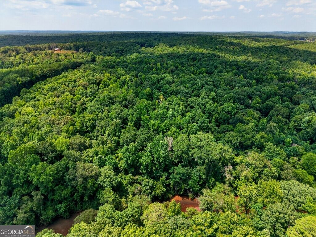 0 Highway 42 Forsyth, GA 31029 - Photo 9 of 19 Gallery Image 9