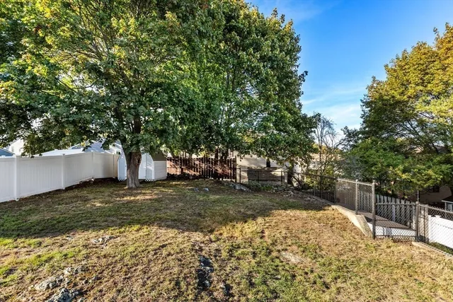 a view of a yard with plants and trees