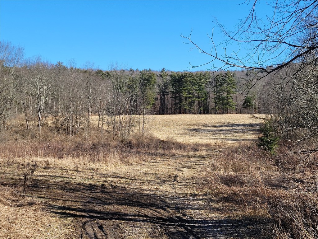 443 County Road 2 Greene, NY 13778 - Photo 25 of 39