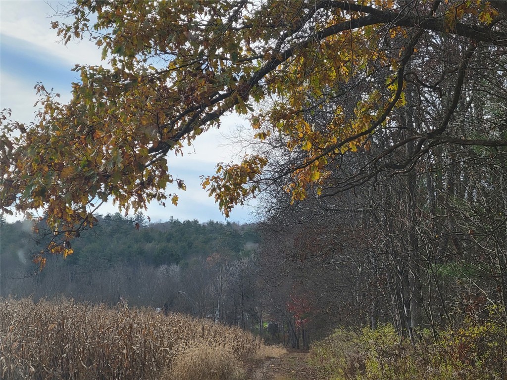 443 County Road 2 Greene, NY 13778 - Photo 26 of 39