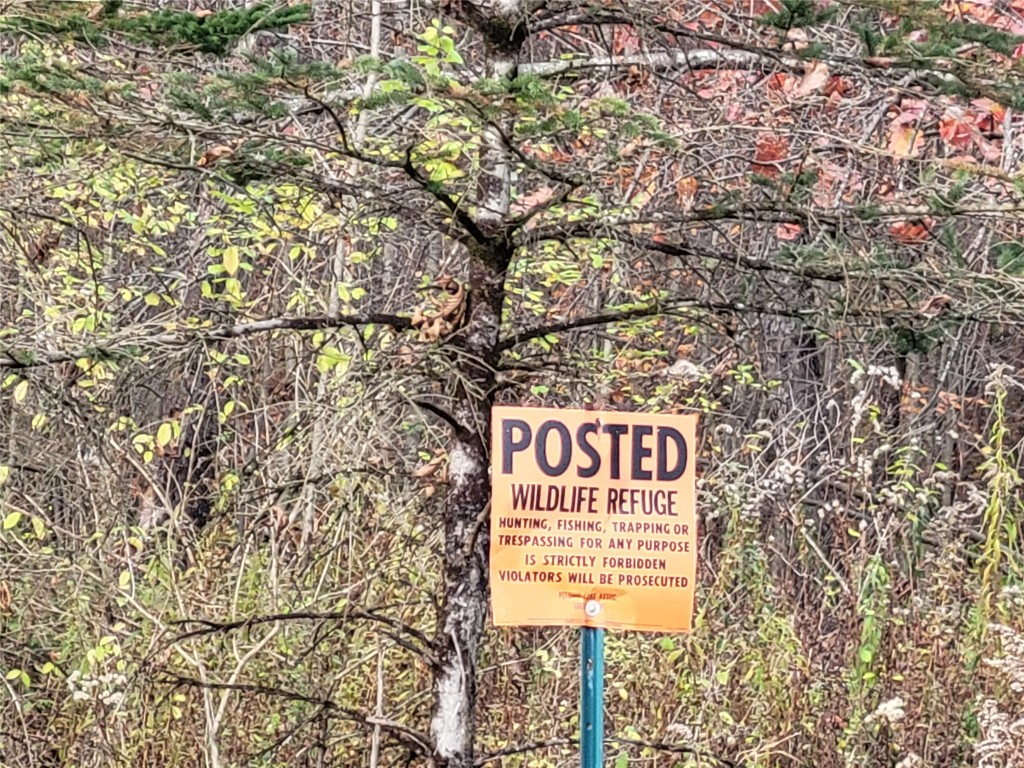 443 County Road 2 Greene, NY 13778 - Photo 27 of 39