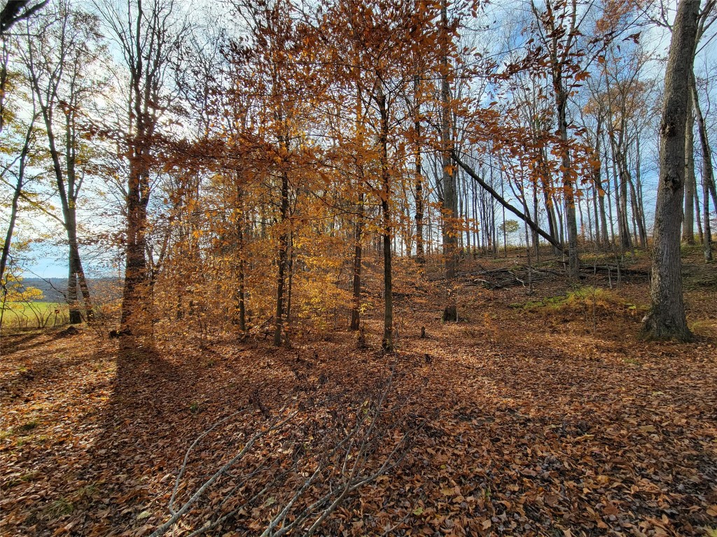 443 County Road 2 Greene, NY 13778 - Photo 28 of 39